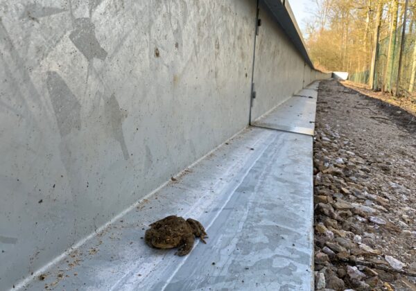 Amphibienleiteinrichtung kaufen