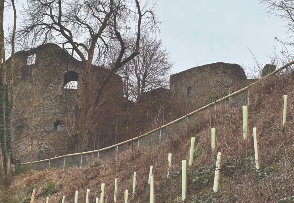 [24-06 Landschaft]