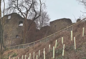 [24-06 Landschaft]